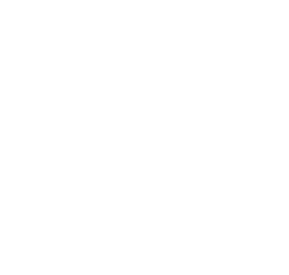 MSV